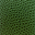 Palm Green