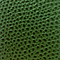 Palm Green